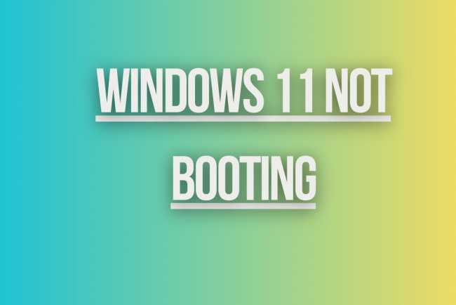 Windows 11 Not Booting