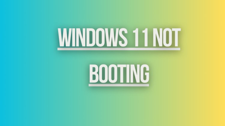 Windows 11 Not Booting