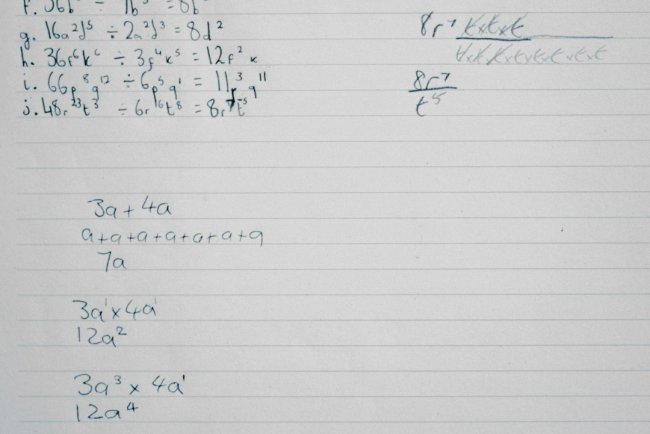 AI Homework Helper — Solve Math & Understand Any Subject Free (2026)