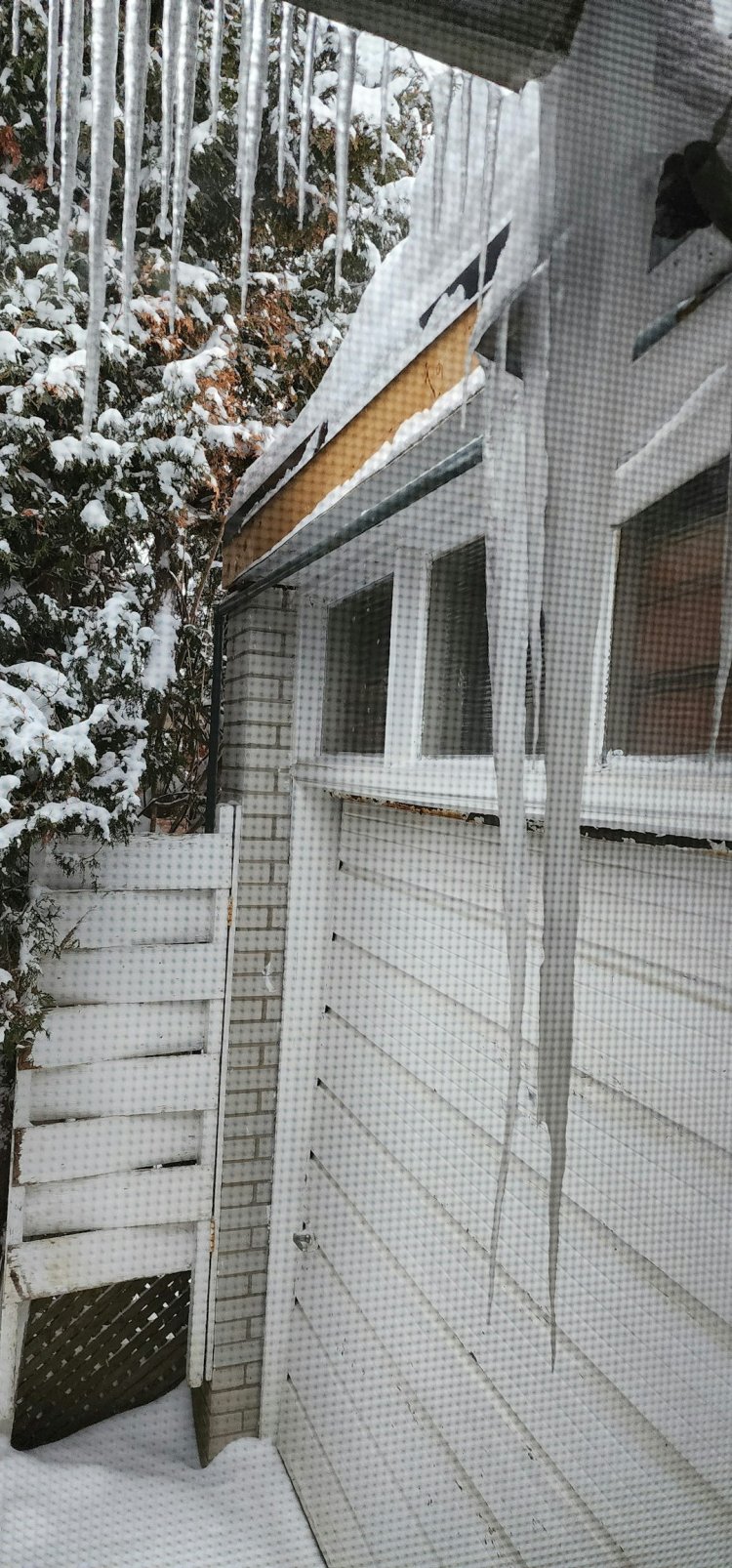 PC Keeps Hanging? Complete Windows Freeze Fix Guide (Part 2)