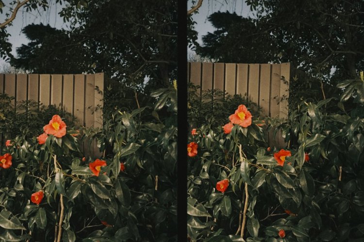 Free AI Image Upscaler — Fix Blurry Photos & Upscale to HD/4K (2026)