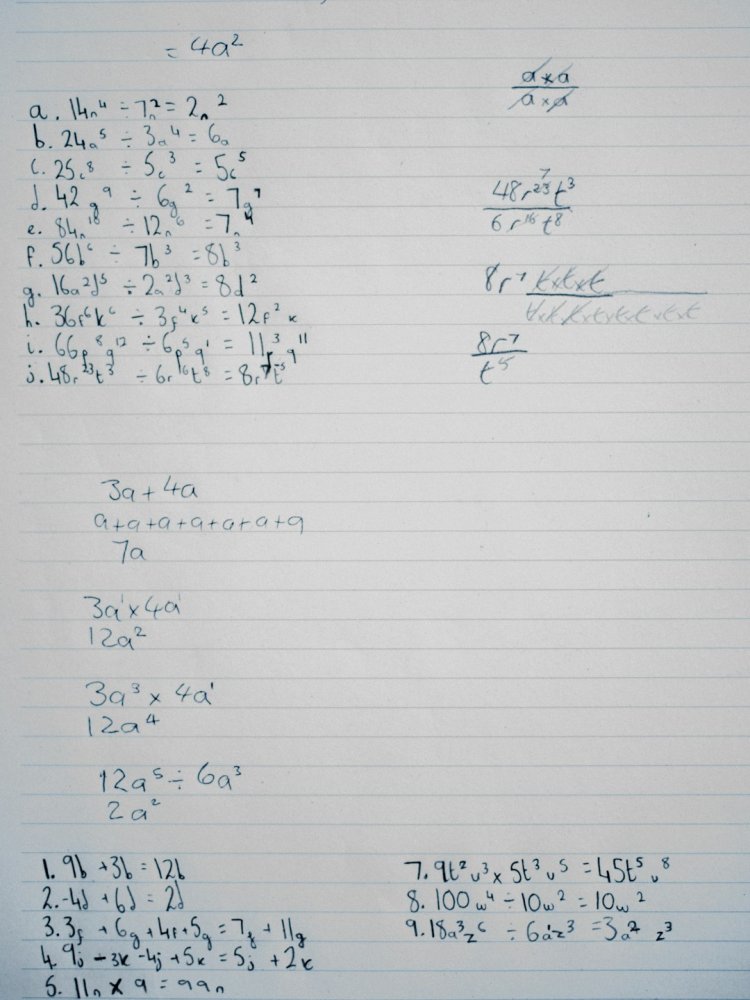 AI Homework Helper — Solve Math & Understand Any Subject Free (2026)